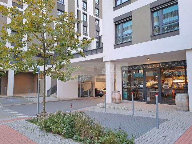 Pronájem bytu 2+kk, Praha - Žižkov, Olgy Havlové, 52 m2