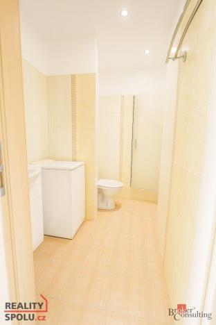 Pronájem bytu 1+1, Opava - Kateřinky, Antonína Sovy, 35 m2