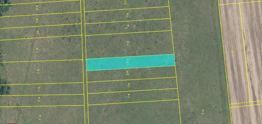 Dražba louky, Skřivany, 1440 m2