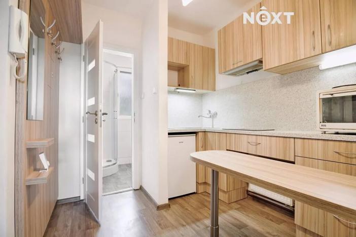 Pronájem bytu 1+kk, Žatec, Sládkova, 25 m2