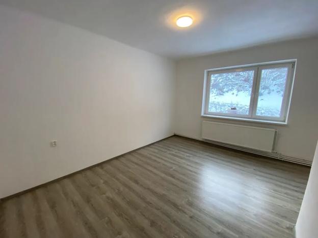 Pronájem bytu 1+1, Město Albrechtice, 37 m2