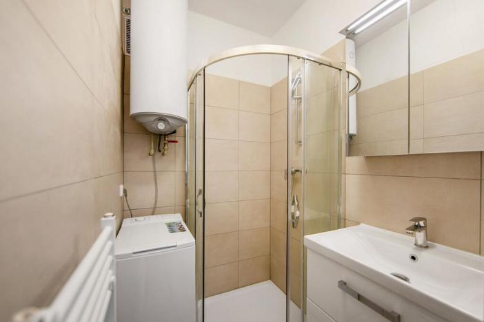 Pronájem bytu 1+kk, Plzeň - Východní Předměstí, Slovanská alej, 22 m2