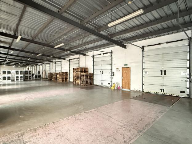 Pronájem skladu, Týniště nad Orlicí, Vrchlického, 22300 m2