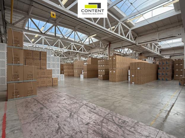 Pronájem skladu, Týniště nad Orlicí, Vrchlického, 22300 m2