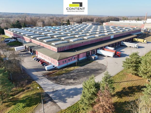 Pronájem skladu, Týniště nad Orlicí, Vrchlického, 22300 m2