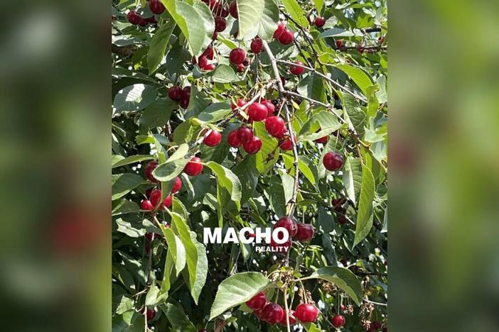 Prodej rodinného domu, Řitka, U vodojemu, 333 m2