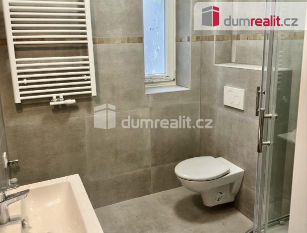 Pronájem bytu 2+1, Ústí nad Labem, Palachova, 65 m2