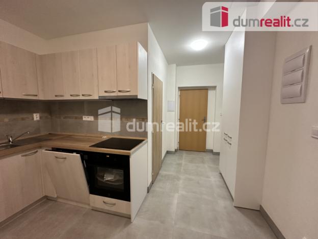 Pronájem bytu 2+1, Ústí nad Labem, Palachova, 65 m2