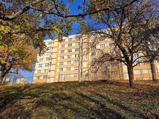 Prodej bytu 2+1, Ústí nad Labem - Severní Terasa, Svojsíkova, 50 m2