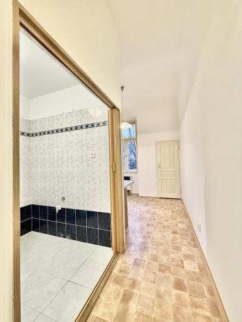 Pronájem bytu 1+1, Praha - Vinohrady, Mánesova, 48 m2