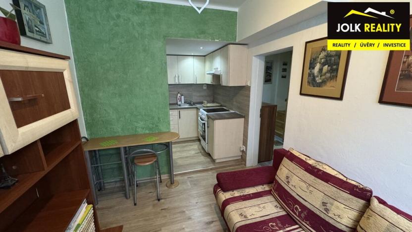 Pronájem bytu 1+1, Opava, Křižíkova, 48 m2