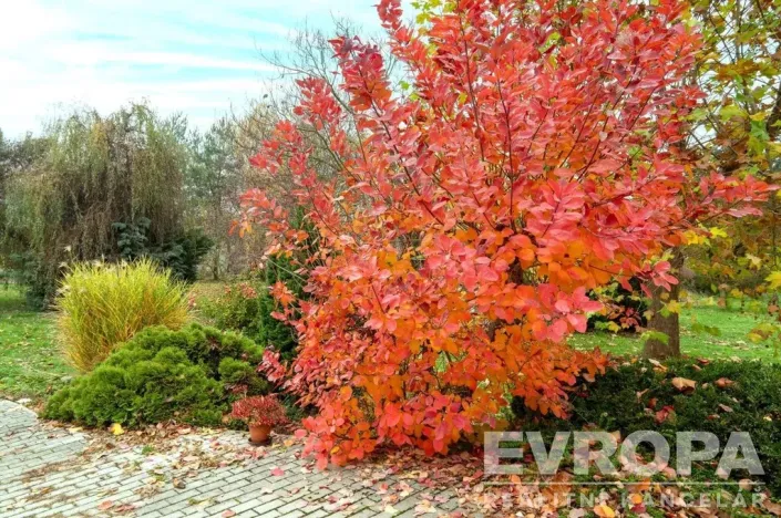 Prodej rodinného domu, Praha - Lipence, Josefa Houdka, 958 m2