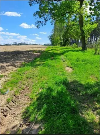 Prodej podílu lesa, Pacov, 1301 m2