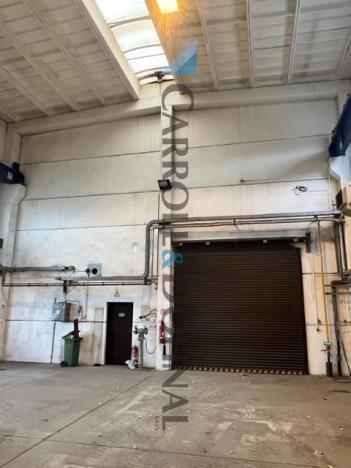 Prodej obchodního prostoru, Havířov - Prostřední Suchá, Nový Svět, 20500 m2