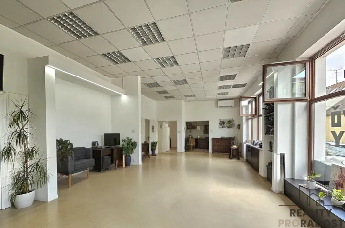 Pronájem obchodního prostoru, Hodonín, Štefánikova, 90 m2