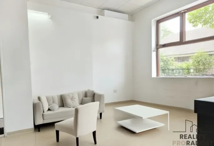 Pronájem obchodního prostoru, Hodonín, Štefánikova, 90 m2