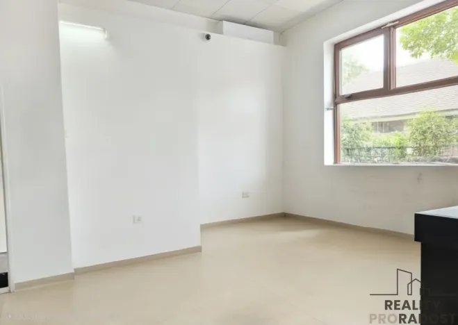 Pronájem obchodního prostoru, Hodonín, Štefánikova, 90 m2