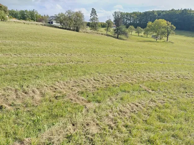 Prodej pozemku pro bydlení, Vizovice, 2216 m2