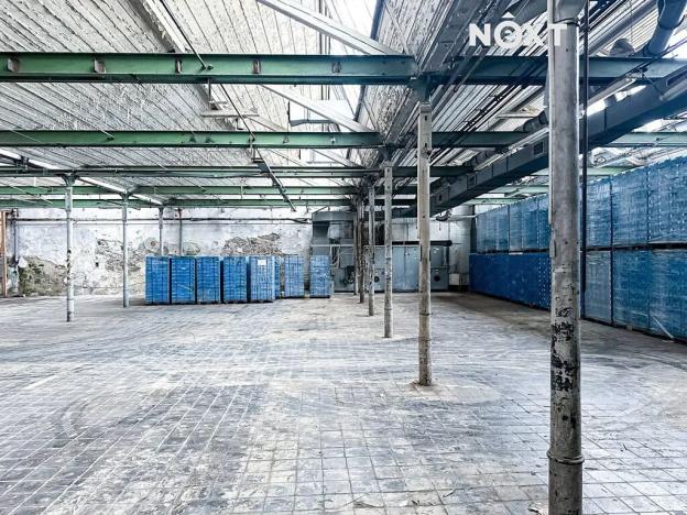 Pronájem výrobních prostor, Dětřichov, 6890 m2