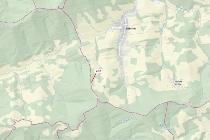 Dražba lesa, Zděchov, 273 m2