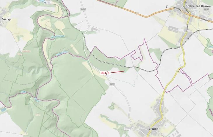 Dražba lesa, Březník, 234 m2