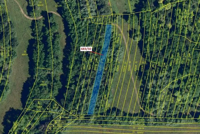 Dražba lesa, Ivančice, 477 m2