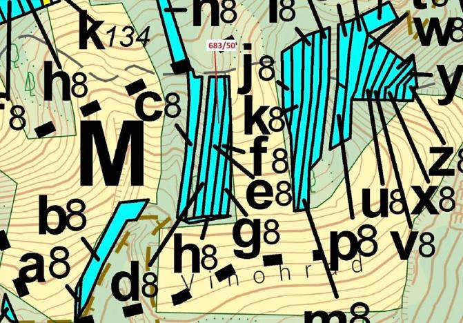 Dražba lesa, Ivančice, 477 m2