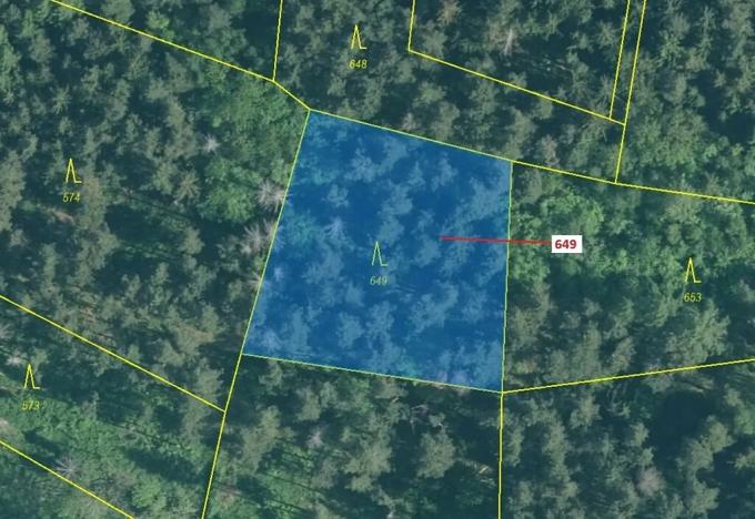 Dražba lesa, Kuřimany, 1722 m2