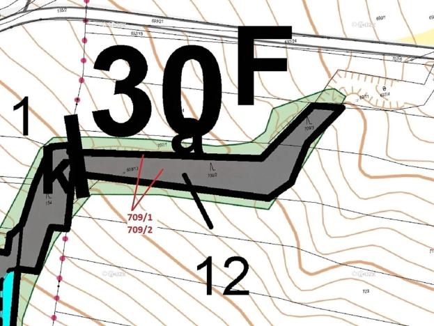 Dražba lesa, Osek, 1823 m2