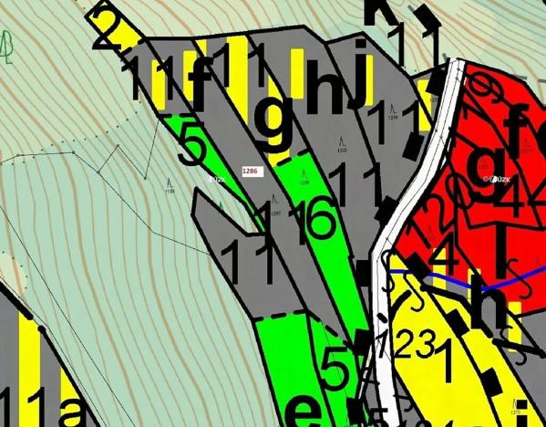Dražba lesa, Lačnov, 2442 m2