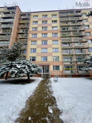 Prodej bytu 1+1, Duchcov, Osecká, 36 m2