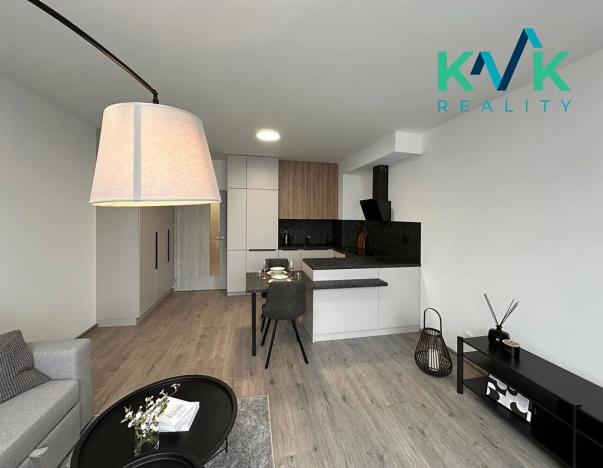 Pronájem bytu 1+kk, Ostrov, Myslbekova, 33 m2