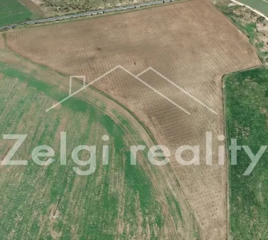 Prodej sadu/vinice, Kralupy nad Vltavou, 246558 m2