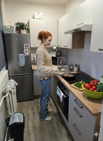 Pronájem bytu 1+kk, Příbram, Nádražní, 28 m2