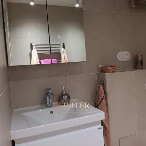 Pronájem bytu 1+kk, Teplice, Petra Jilemnického, 26 m2