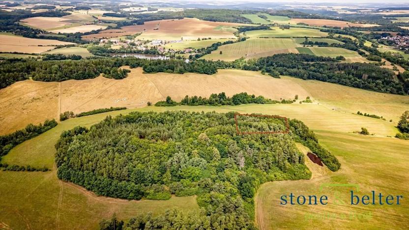 Prodej lesa, Zvěstov, 45954 m2