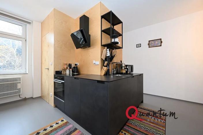 Pronájem bytu 2+kk, Praha - Holešovice, U průhonu, 54 m2