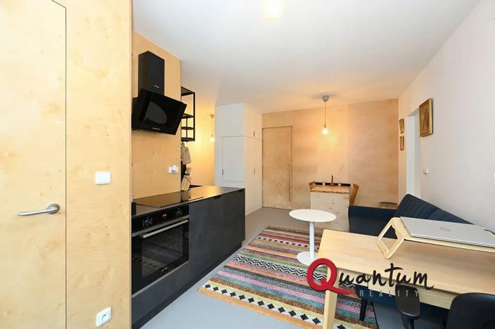 Pronájem bytu 2+kk, Praha - Holešovice, U průhonu, 54 m2