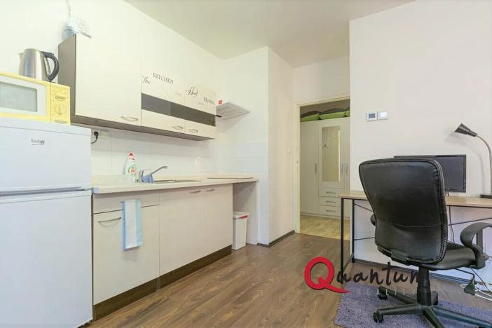 Pronájem bytu 1+kk, Praha - Nusle, 5. května, 34 m2