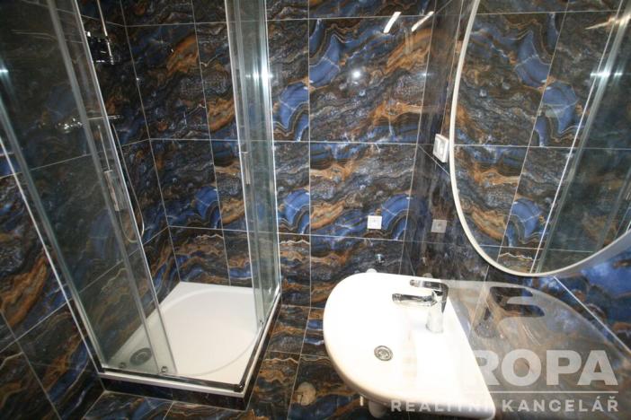 Pronájem bytu 1+kk, Praha - Žižkov, Biskupcova, 33 m2