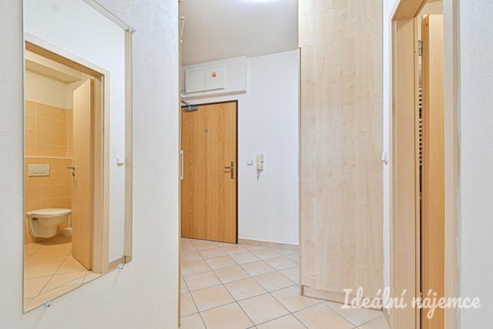 Pronájem bytu 1+kk, Brno, Sedláčkova, 32 m2