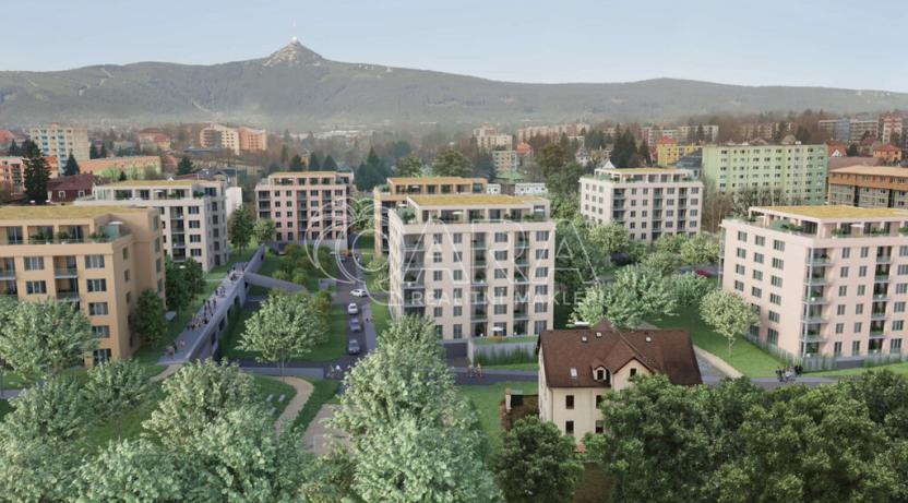 Pronájem bytu 2+kk, Liberec - Liberec X-Františkov, Švermova, 60 m2