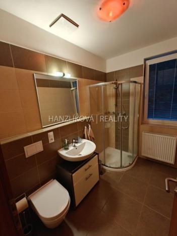 Pronájem bytu 1+kk, České Budějovice - České Budějovice 2, U Lesa, 26 m2