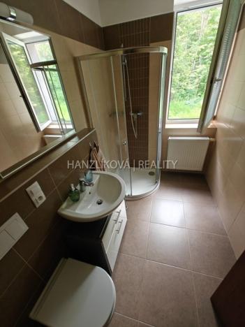 Pronájem bytu 1+kk, České Budějovice - České Budějovice 2, U Lesa, 26 m2