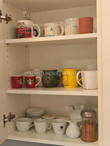 Pronájem bytu 1+kk, České Budějovice - České Budějovice 2, U Lesa, 26 m2