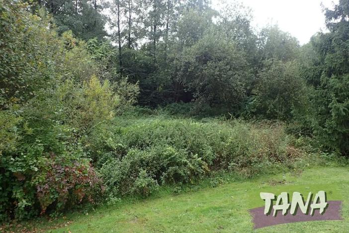 Prodej pozemku pro bydlení, Mladějov, 382 m2