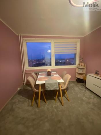 Prodej bytu 1+1, Teplice - Řetenice, Bratislavská, 41 m2