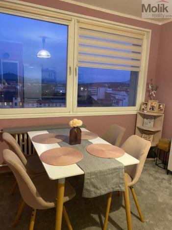 Prodej bytu 1+1, Teplice - Řetenice, Bratislavská, 41 m2