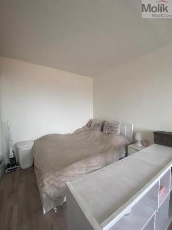 Prodej bytu 1+1, Teplice - Řetenice, Bratislavská, 41 m2