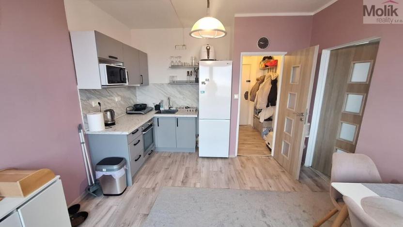 Prodej bytu 1+1, Teplice - Řetenice, Bratislavská, 41 m2